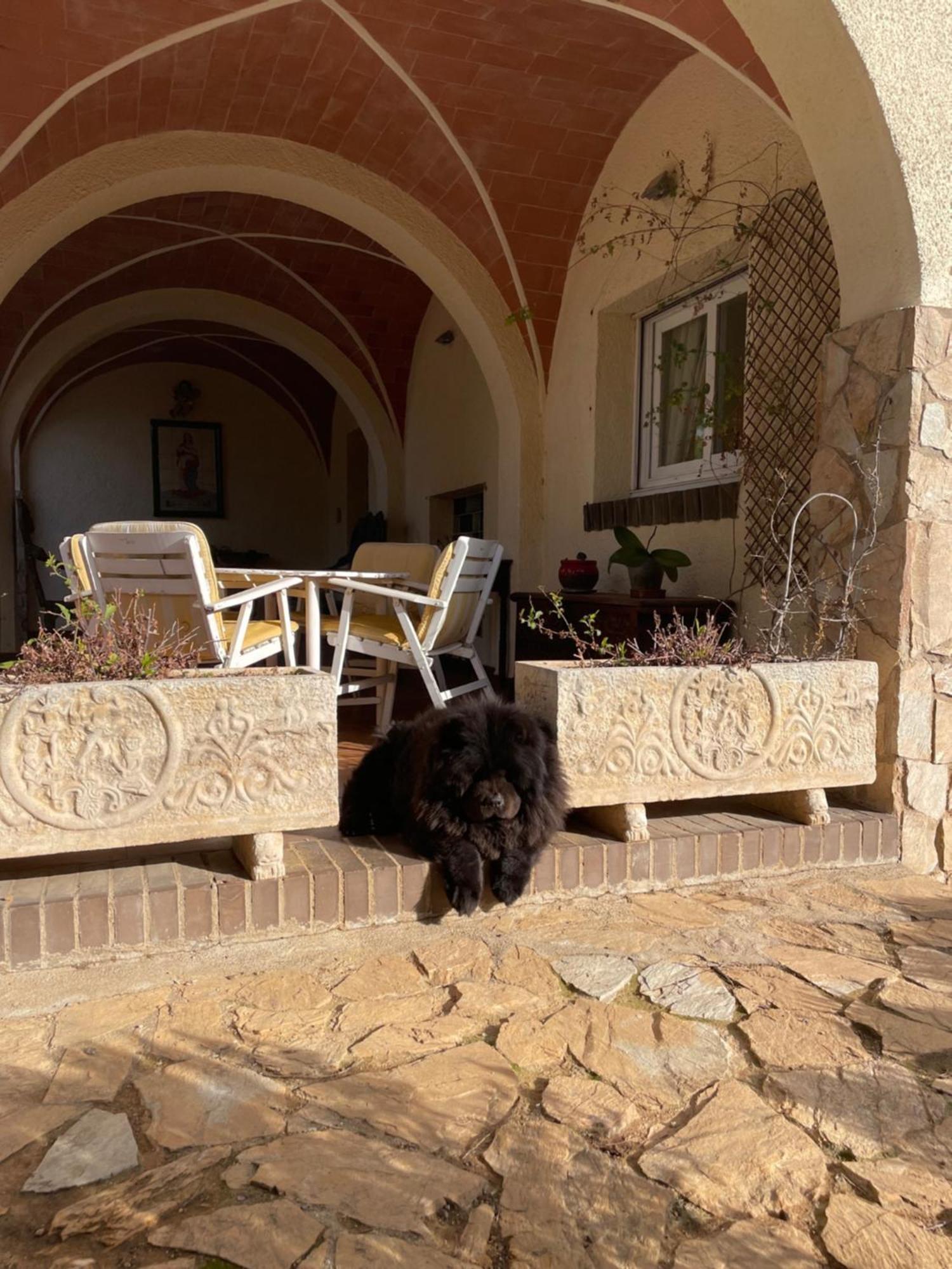 Campo La Carena Villa Garriguella Luaran gambar